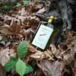 Luminous premium olive oil